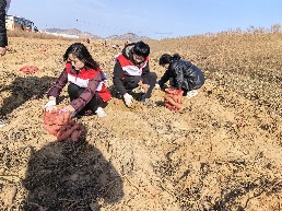 民革淮南市委会爱心助农2.jpg