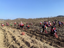 民革淮南市委会爱心助农1.jpg